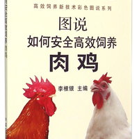 图说如何安全高效饲养肉鸡