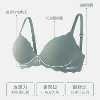 柔贝诗 猫爪杯内衣女士聚拢显大文胸平胸A杯不空胸罩