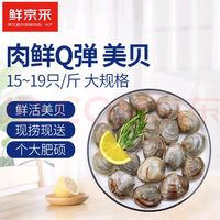 鲜动生活 鲜活大美贝 5斤 每斤15-20粒 蛤蜊花甲