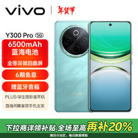 vivo Y300 Pro 5G手机 8GB+128GB 金镶玉