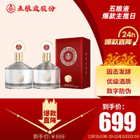 WULIANGYE 五粮液 股份 金碧辉煌 经典版 浓香型白酒 52度500ml*2瓶 年货送礼