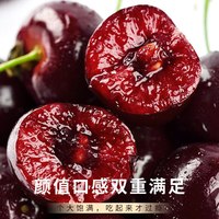 集年鲜智利进口原箱整版车厘子当季孕妇樱桃新鲜时令新鲜水果年货礼盒 5斤(净重) JJ