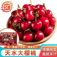 颜曼箐甘肃天水大樱桃国产车厘子新鲜水果美早黑珍珠礼盒装 品质特大果5斤JJJJ 32mm+ 精品装3斤JJJ级30-32mm净重2.5斤