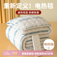 环鼎电热毯2024自动断电保暖单双人电褥子1.8x2米双控石墨烯 双温双控【180*200cm】速热恒温