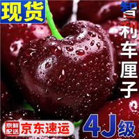 晟容果蔬智利车厘子【JD速运/多地隔日达】大樱桃水果生鲜过节送人礼 5斤(净重) 彩箱装【精美彩箱+保温箱】 JJJJ级【单果12-15g】