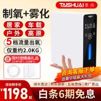 TAISHUAI 泰帅 便携式制氧机