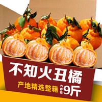 诱鲜地 四川不知火丑橘桔子耙耙柑 9斤75-80mm 新鲜水果源头直发  不知火丑橘 9斤75-80mm
