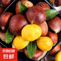 1 丹东新鲜板栗 生板栗 炒菜专用新鲜板栗重量可能有10%水分流失 丹东鲜板栗 2斤 送栗爪