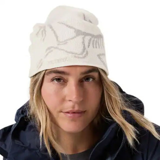 始祖鸟（ARC'TERYX） Bird Head Toque 2024男女针织帽滑雪帽保暖防风毛线帽羊毛混纺 Arctic Silk/Rune 均码