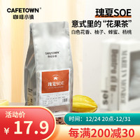 CafeTown 咖啡小镇 瑰夏SOE水洗咖啡豆 50g