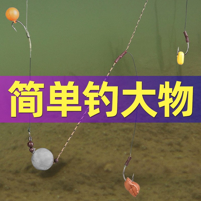 TINGPAI 挺派 欧式鲤钩钓组反底钓法欧鲤浮球钩组反离底海竿抛杆垂钓巨物线组 欧式鲤钩串钩钓组10组装 2.0号