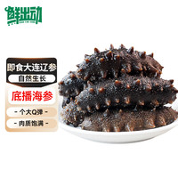 鲜出动大连即食海参刺参深海辽刺参海参干货水产7-13头 净重500g