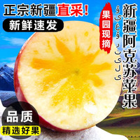 鲜总管新疆阿克苏冰糖心苹果水果5斤10斤红富士苹果丑苹果 净重5斤中果 单果75-80mm