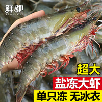 鲜驰 虾 国产青岛大虾 青虾白虾海虾基围虾冷冻生鲜  海鲜水产 盐冻大虾 (净重)  规格【特大虾】