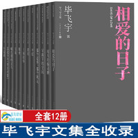 毕飞宇小说全集 毕飞宇文集 短篇小说 现当代文学长篇小说