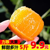 果果牛 湖南麻阳冰糖橙 5斤超值装中号