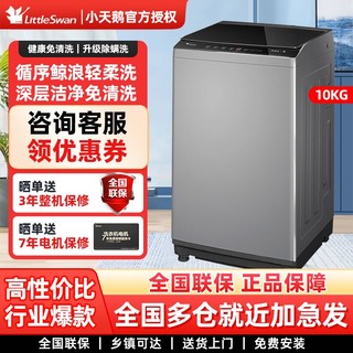 小天鹅洗衣机10KG大容量小型家用出租屋全自动波轮洗脱一体