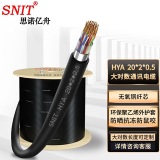 SNIT 思诺亿舟 SN-HYA20*2*0.5 室外20对大对数通信线缆 电话语音大对数电缆 1米