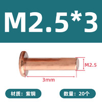 others 其他 TEZ 紫铜平头实心铆钉 M2.5*3 铜色 20个