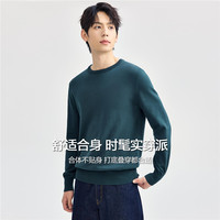 佐丹奴可机洗针织衫男24冬精梳纯棉纯色圆领抗起球毛衣男18054610 29 绿色 S