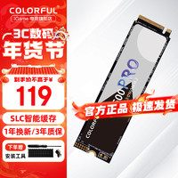 COLORFUL 七彩虹 CN600 Pro NVMe M.2 固态硬盘 256GB（PCI-E 4.0）