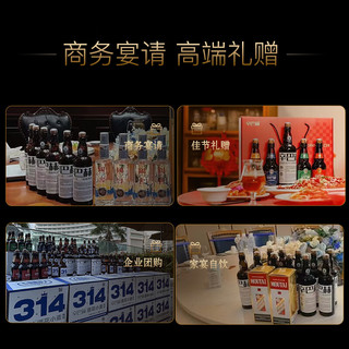 辛巴赫精酿【中国首金】精酿啤酒珠峰艾尔高端啤酒高档商务宴请酒12瓶装