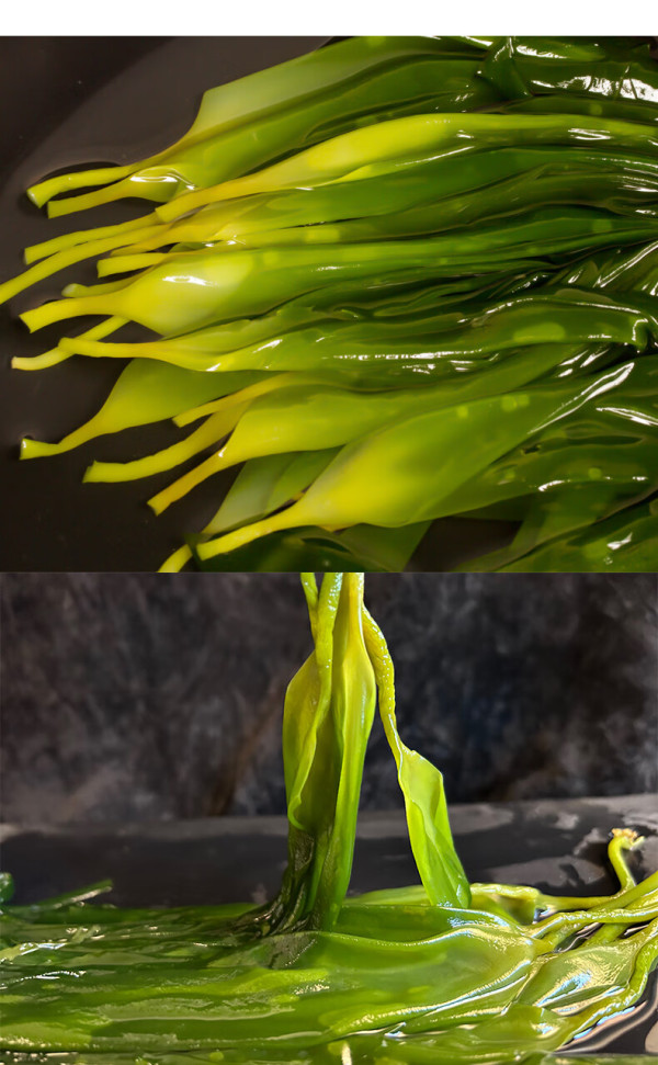 muhai目海福建霞浦头水鲜嫩海带苗500g4袋