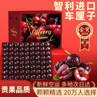 林晟果品智利车厘子3j4j大果樱桃【/JD-多地次日达】水果礼盒 0.9斤(净重) 2J【1斤】