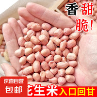 JX 京喜 河南大白沙花生米 500g 1袋