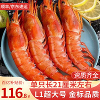 渔游记阿根廷红虾(L1)2kg特级大号进口海捕红虾似红魔虾海鲜年货送礼 阿根廷红虾 (净重)