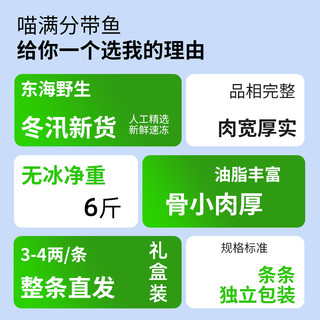 喵满分鲜冻东海带鱼6/8斤新鲜冷冻整条特大号刀鱼盒海鲜水产