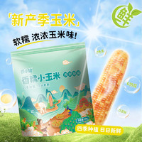 京百味 云南香糯小玉米 1kg