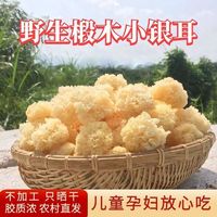 椴木小银耳干货无硫无添加糯银耳羹孕糯耳雪耳白木耳小朵软糯多胶