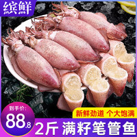 缤鲜 BINXIAN 缤鲜 国产 生鲜满籽笔管鱼 500g*2袋