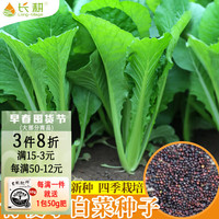 长耕四季小白菜种子青梗小白菜籽春秋阳台速生奶油白菜小青菜蔬菜种籽 长耕北京四季小白菜10克