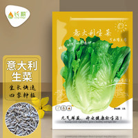 长耕生菜种子大全四季生菜种家庭阳台意大利速生生菜籽盆栽蔬菜种子 意大利生菜3克(约3000粒)