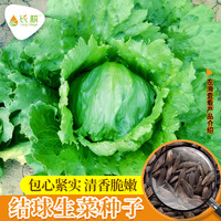 长耕 结球生菜种子球形生菜种籽脆嫩爽口春季四季播阳台盆栽蔬菜种孑 长耕丸丽101结球生菜/3克