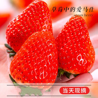 草莓新鲜水果应当季红颜奶油九九牛奶99大整箱空运