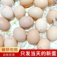 百亿补贴：芮瑞 农家散养 虫草蛋  50枚