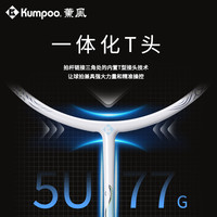 薰风20245U羽毛球拍碳素纤维超轻拍羽拍熏风大鱼DS-203