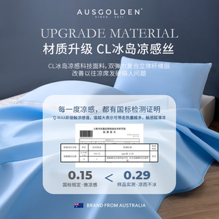 AusGolden澳洲凉席冰丝席冰丝凉席可机洗 夏凉席宿舍防螨抗菌高端软席三件  1.2米床【二件套】120*195cm