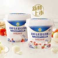 妙可蓝多新鲜马苏里拉奶酪大球（100g×1个）固形物≥100g 大球 固形物≥100g*3