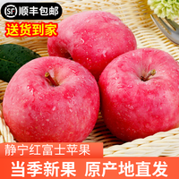 陇原红静宁苹果 甘肃高山红富士苹果2024年新果脆甜多汁 净重4.5-5斤75-80mm中果