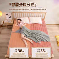 加厚电热毯单双人双控电褥子智能可调节冬季取暖器宿舍家用