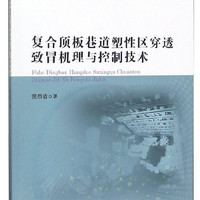 复合顶板巷道塑性区穿透致冒机理与控制技术