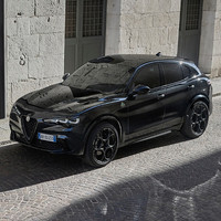 ALFA ROMEO 阿尔法·罗密欧 Stelvio斯坦维