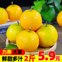 果果牛 湖南麻阳冰糖橙 2斤装中号
