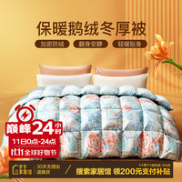富安娜（FUANNA）家纺 羽绒被芯白鹅绒被子冬天加厚冬被保暖被子(优选) 【白鹅绒冬厚被】灵韵(国风印花) 203*229cm