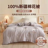 安睡宝（SOMERELLE）新疆纯棉花被子春秋被子棉被芯冬季加厚保暖棉絮垫被宿舍单人冬被 云暖灰【抗菌防螨 蓄热保暖】 180*220cm约6斤春秋被