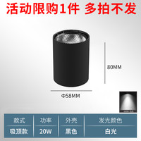 OUJIATU 欧佳图 GD001 LED射灯 20W 黑壳白光